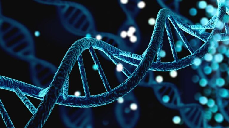 Agronomics Portco: Onego Bio’s Pioneering Biotech Platform for Sustainable Egg Protein