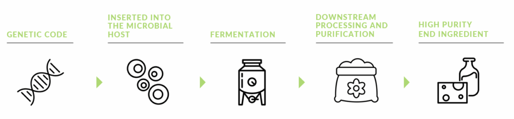 Precision Fermentation