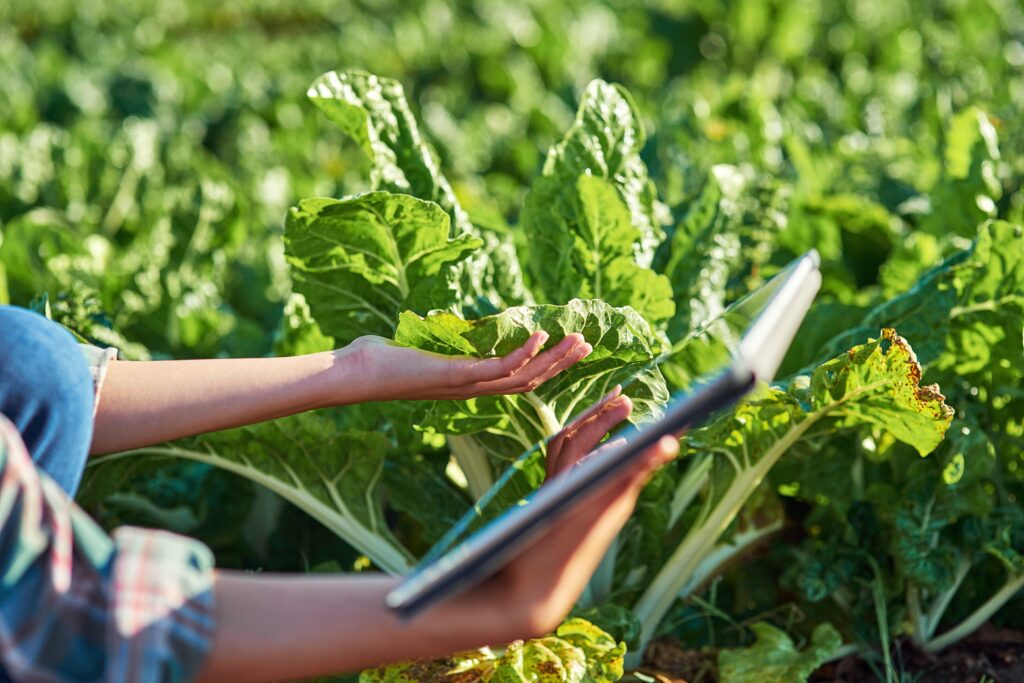 Hands,,farmer,and,tablet,in,countryside,for,research,,check,crops